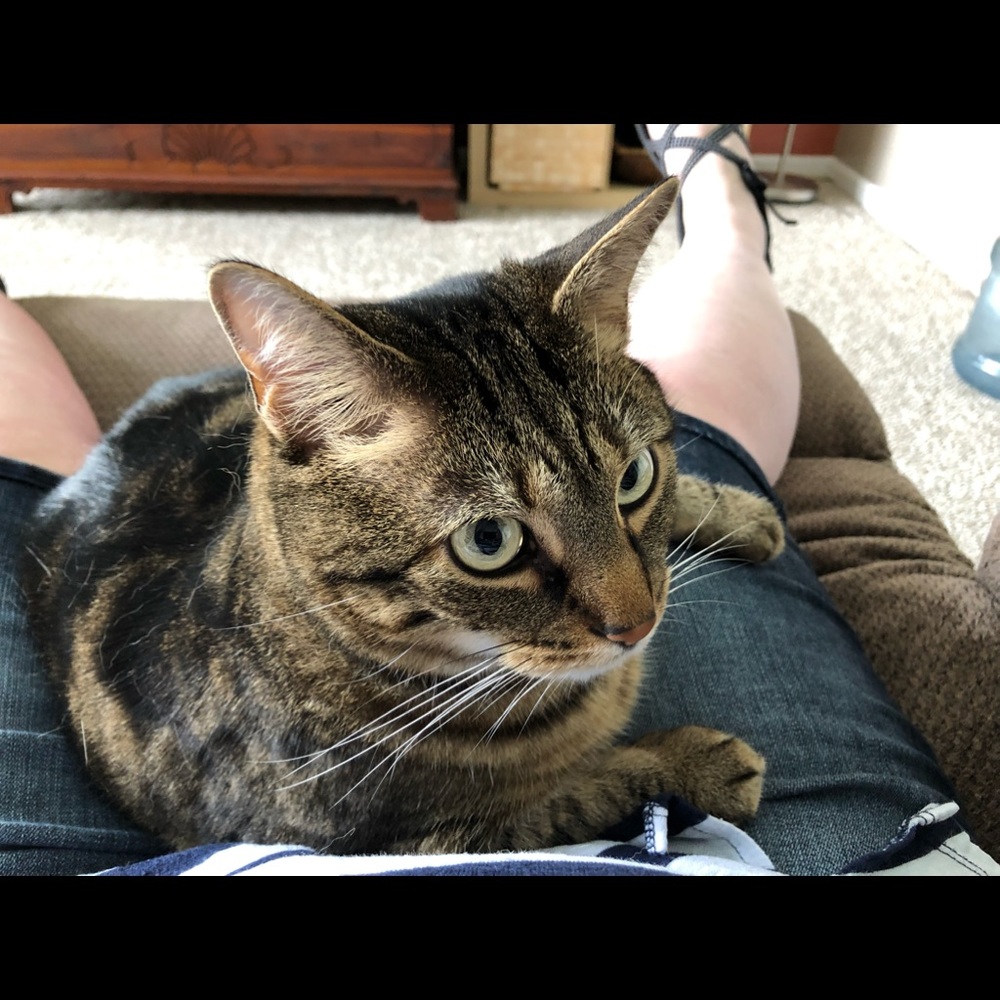 Meet your Posher, Elissa